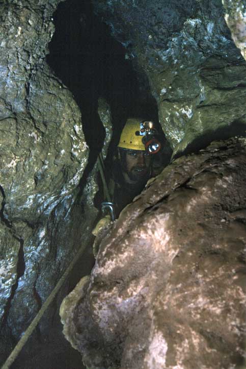 Tesselator pitchhead, Gardener's World, Migovec Plateau (D Wilson)
