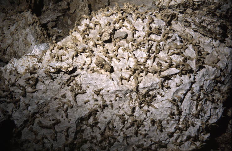 Eroded rock near Titanic Pitch, Migovec System (D. Wilson)